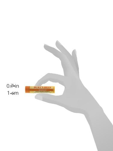 Moisturizing Lip Balms 2 Pack - Mango 2/0.15 Ounce (4.25 g) Balm