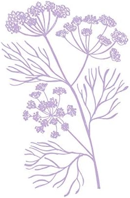 Senna Cosmetics, Soothing Toner with Fennel + Royal Jelly, 5 fl oz