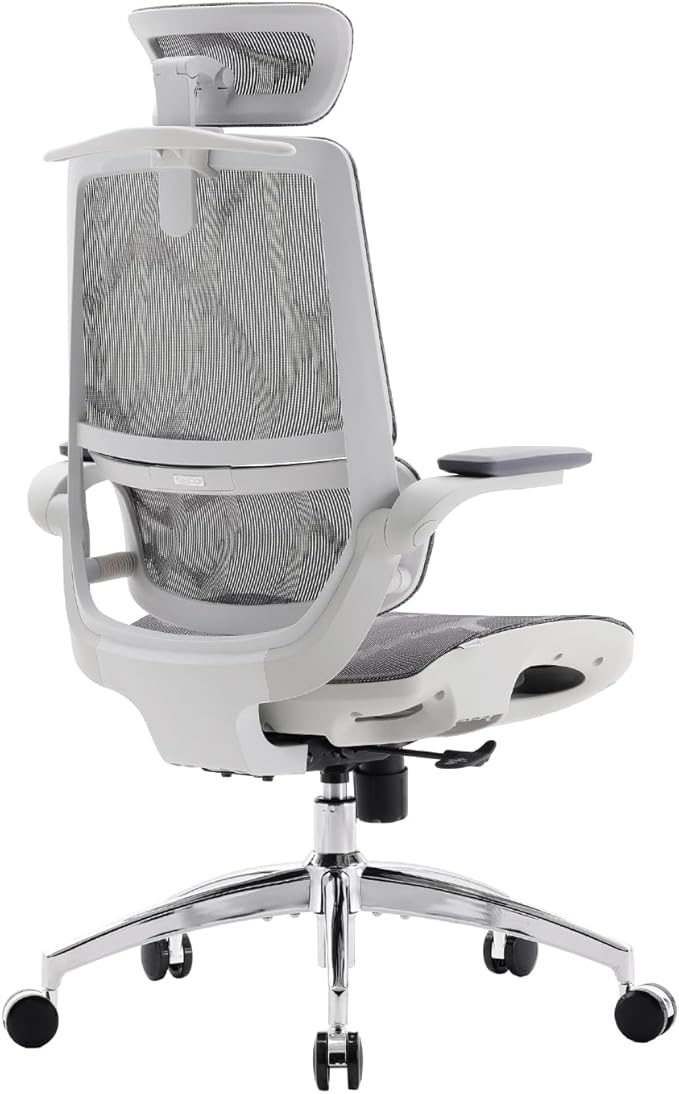 SIHOO M59AS Ergonomic Office Chair, Desk Chair with 3D Flip-up Armrests, Computer Chair with Dual Back Design and Adaptive Dynamic Lumbar Support Grey