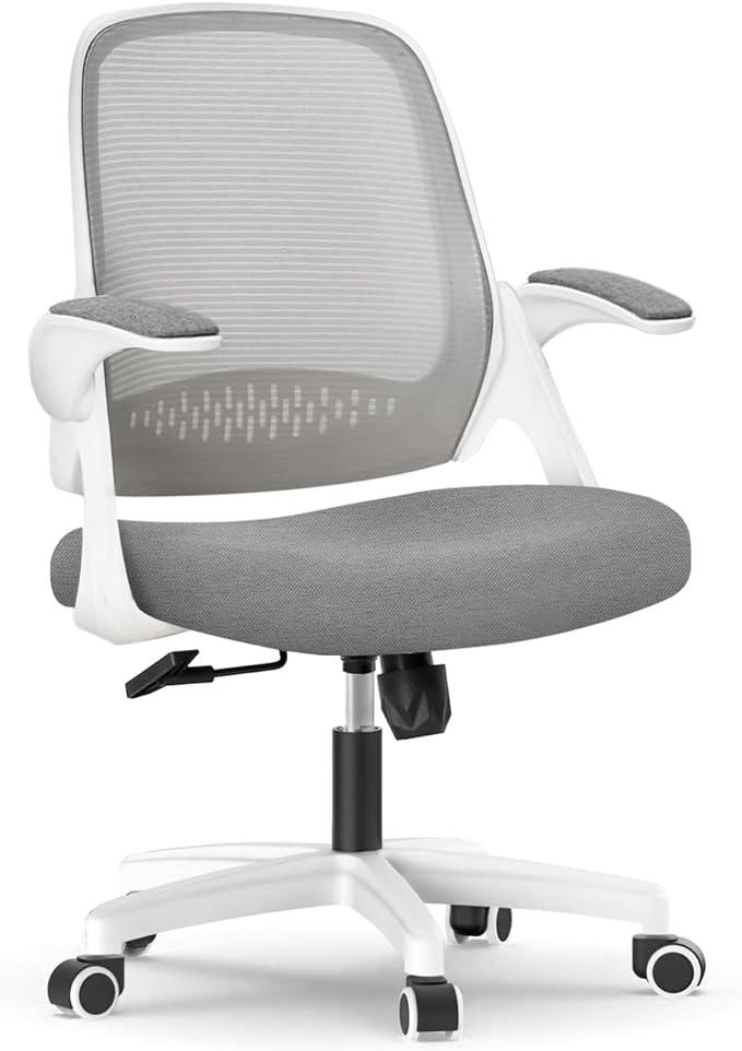 NEO CHAIR Office Desk Computer Gaming Ergonomic Chair with Lumbar Back Support Adjustable Height Swivel Wheels Flip-up Arms Mesh Chair for Home or Office (Grey)
