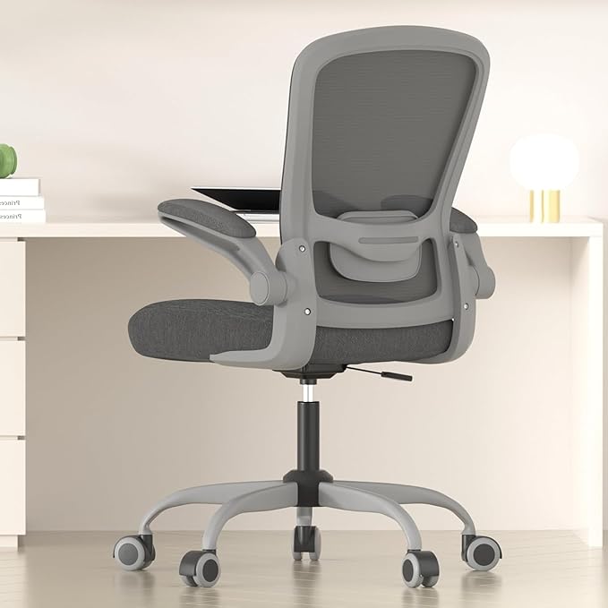 Mimoglad Office Chair, Ergonomic Desk Chair with Adjustable Lumbar Support, High Back Mesh Computer Chair with Flip-up Armrests-BIFMA Passed Task Chairs, Executive Chair for Home Office