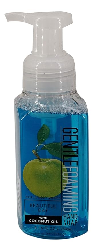 Beautiful Day Gentle Foaming Hand Soap (2 Pack, 8.75 oz each)