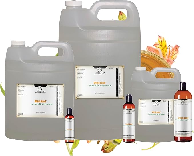 Witch Hazel Natural USP Oil – 100% Pure with 14% Natural Grain Alcohol | Hamamelis Virginiana Extract for Face, Skin, Hair & Wellness | Astringent & Soothing Properties | 8 Fl Oz