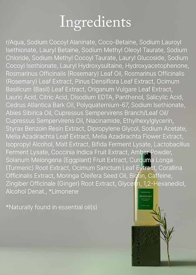 AROMATICA Rosemary Scalp Scaling Shampoo - Korean Hair Care with Thinning Hair Loss Natural Rosemary Essential Oil for Women - Vegan Hair Growth - Free from Sulfate, Silicone, and Paraben (13.53 oz)