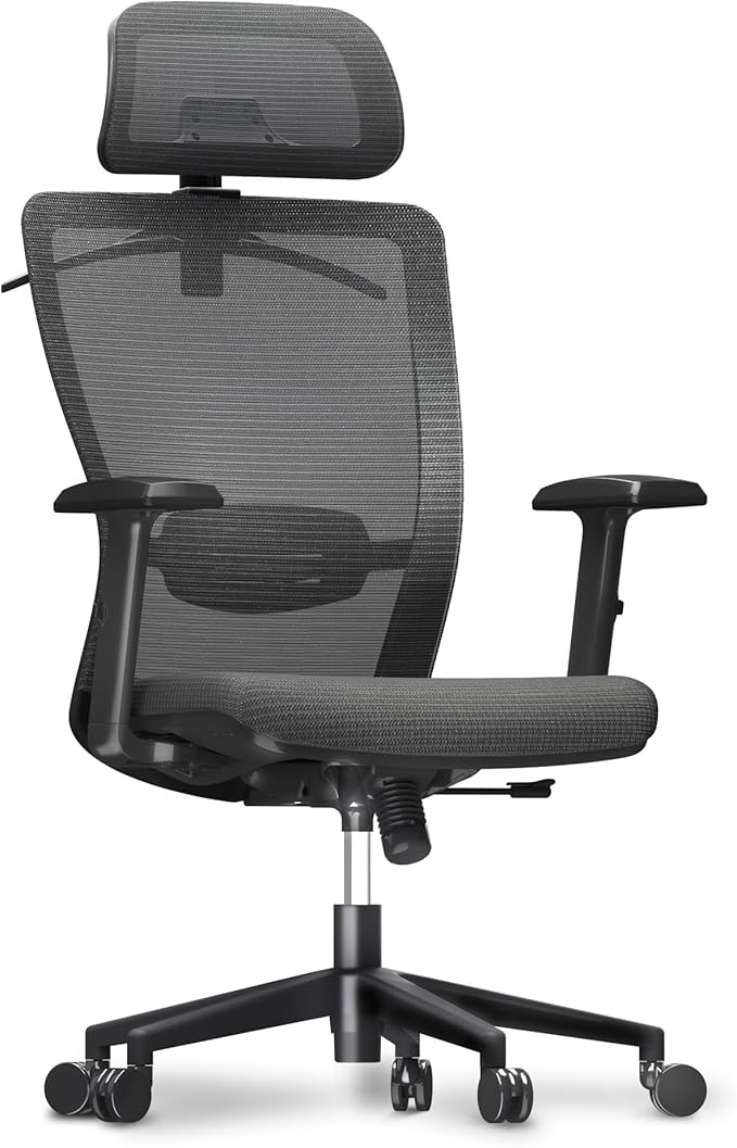 FLEXISPOT Classic Ergonomic Office Chair with High Back Swivel Computer Chair Executive Office Desk Chairs, with Lumbar Support/2D Headrest/Lockable Tilt Function, Foam Seat Cushion, Gray