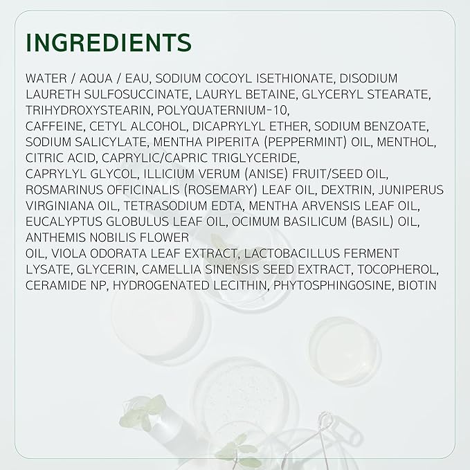 LABO.H Scalp Strengthening Shampoo for Hair Growth & Anti-Loss | Vegan Ceramide Haircare Routine with Rosemary Oil, Biotin and Caffeine, Paraben Free, Korean Hair Care, 13.5 Fl. oz.