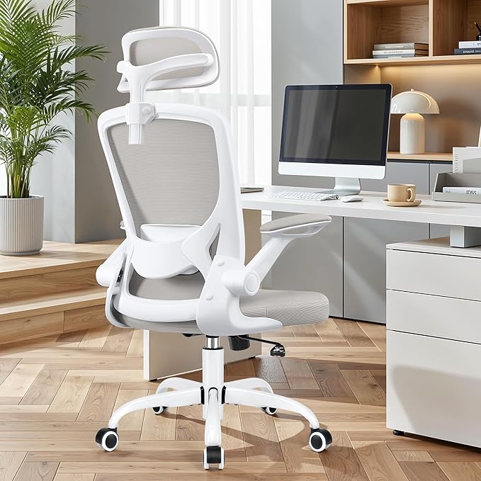 Office Desk Chair, Ergonomic Mesh Office Chair with Adjustable Lumbar Support, Headrest, Flip-up Armrests, Comfortable Computer Chairs for Home, Work, Gaming, (Light Gray, 2 Pack)