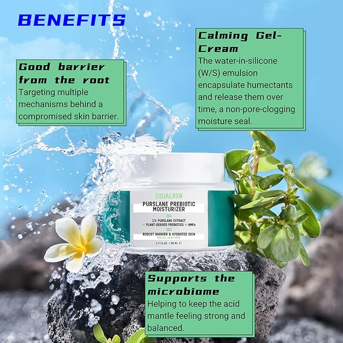 Cactus Ceramide Fortifying Milk and Purslane Prebiotic Moisturizer Bundle Reinforce & Support Moisturizing Skincare