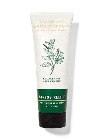 Bath and Body Works EUCALYPTUS SPEARMINT Gift Bag