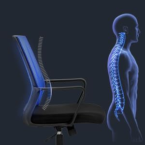 BestOffice Office Chair Desk Chair Computer Chair Swivel Rolling Executive Lumbar Support Task Mesh Chair Adjustable Stool for Women Men, Blue