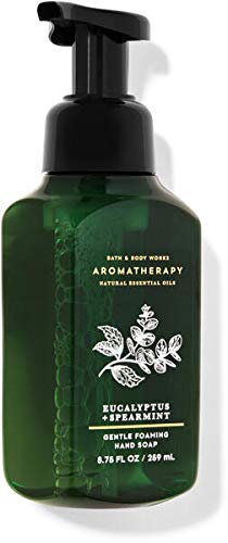 Bath and Body Works EUCALYPTUS SPEARMINT Gift Bag