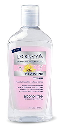 Dickinson's Enhanced Witch Hazel Alcohol Free Hydrating Toner, 16 Fluid Ounce (Pack of 6)