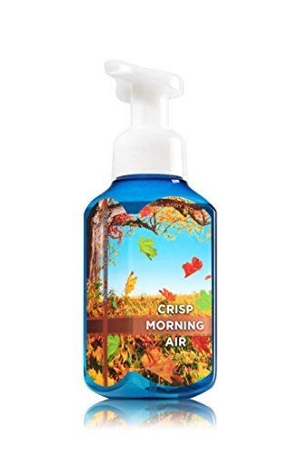 Bath and Body Works Gentle Foaming Hand Soap Crisp Morning Air
