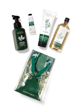 Bath and Body Works EUCALYPTUS SPEARMINT Gift Bag
