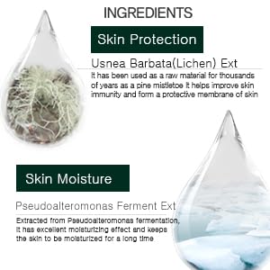 WELLDERMA Daily Care Recovery Cream, 30mL / 1.01 fl.oz – Hydrating & Calming Face Cream with Centella Asiatica, Tea Tree & Panthenol