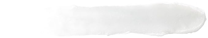 Burt's Bees Medicated Lip Balm, With Eucalyptus Oil and Menthol, Tint-Free, Natural Origin Lip Care, 4 Tubes, 0.15 oz.
