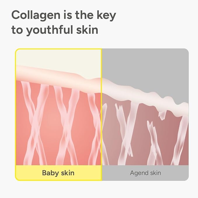 SUNGBOON EDITOR Fine Line Care Duo: Cream in Serum & Collagen Capsule Cream, Deep Fine Line Care, Glow Mist, Elasticity for Aged Skin, Face Moisturizer, Gifts for Mom, Korean Skin Care