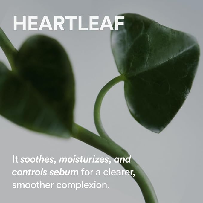 Abib Heartleaf Cream Calming Tube 2.53 fl oz I Calming, Facial Cream