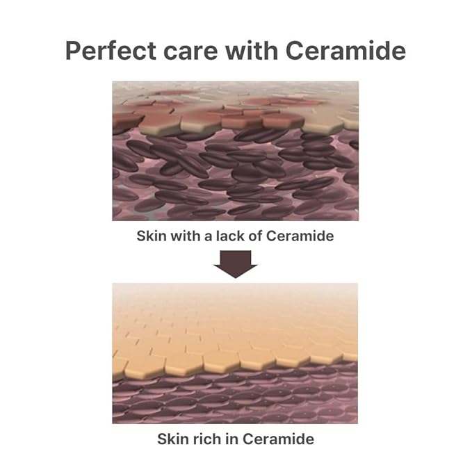 MEDIB Sebum Control Cream | Oil & Pore Care for Oily Skin & Whiteheads | Gentle Exfoliating & Skin Smoothing Formula | 20ml