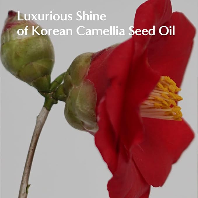 L04-N Keratin Heat Protectant Hair Cream 0.67fl oz | Korean Camellia Oil Leave-In Treatment for Silky & Shiny Hair | Anti-Frizz & Moisturizing Hair Serum