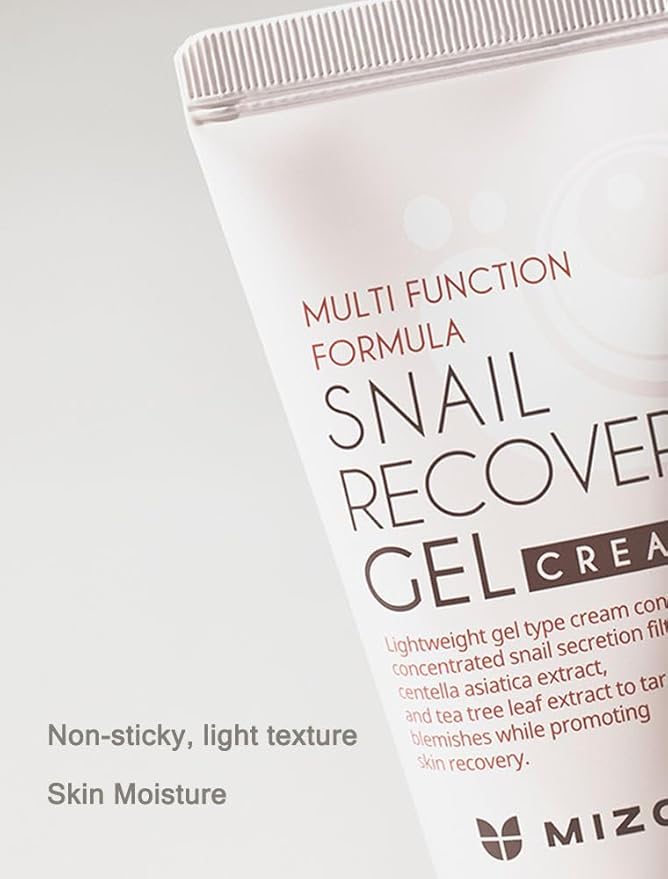 MIZON Set of Two Snail Recovery Gel Cream Snail Mucin for Fine Lines Skin Elasticity Moisture Fragrance-Free Korean Skincare(45ml 1.52 fl.oz -Pack of 2)