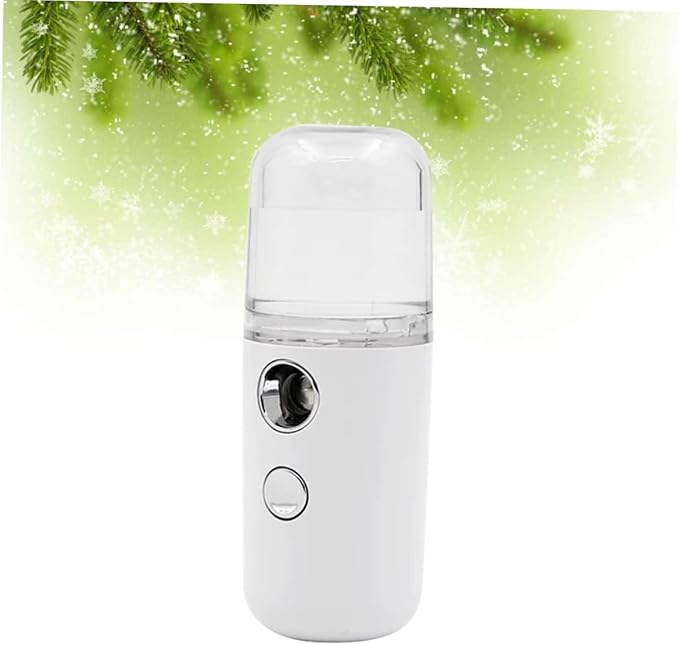 Housoutil 2pcs Portable Skin Moistener Mini Humidifier for Bedroom Sprayer Essential Oil Toner