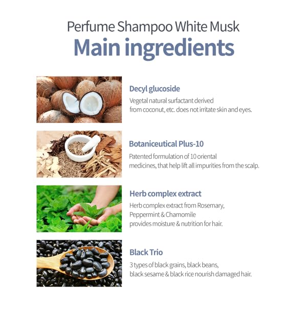 Hydrating Shampoo for Dry Hair, Nourishing Korean Hair Care, Long-Lasting White Musk Fragrance, Hydrolyzed Keratin, Paraben-Free, 16.9 fl oz