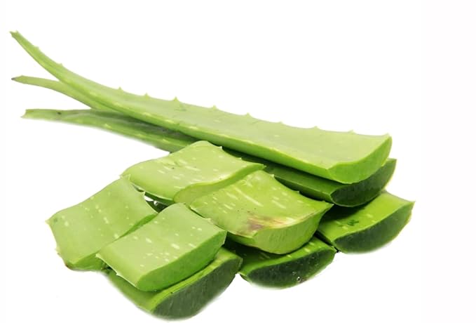 HalalEveryDay | 100% Pure Aloe Vera Gel | After Sun Care Soothe & Hydrate | Sun Burn Relief | Moisturizing | Vegan | 32 oz