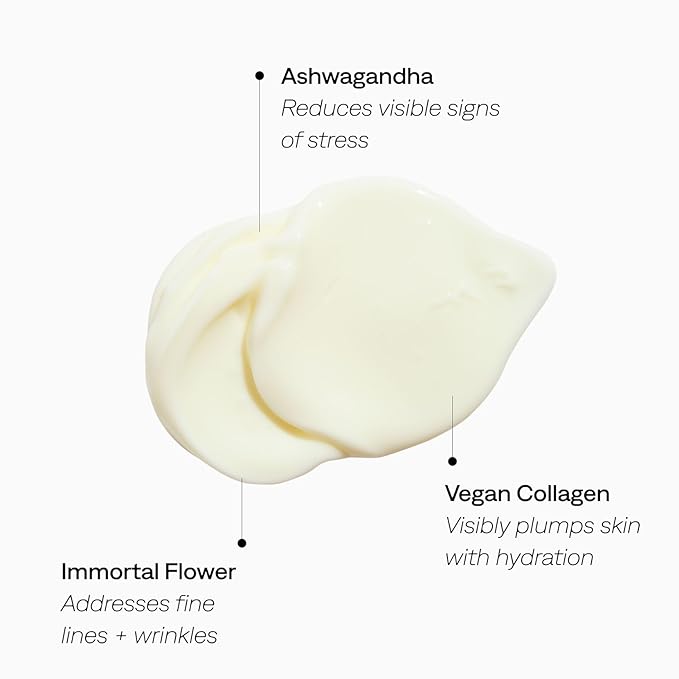 Provence Beauty Daydream Crème – Lightweight Face Moisturizer with Ashwagandha, Vegan Collagen & Immortal Flower – Hydrating Face Cream, Plumps & Balances Skin – 2 fl oz