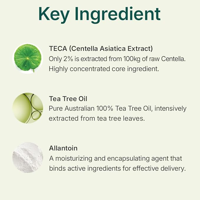 CENTELLIAN 24 Madeca Powder Tea Tree AC (Soothing Powder, 0.21 oz) – Oil Control & Pore-Tightening for Acne-Prone Skin, Korean Skincare with Hyper-TECA™ Tea Tree & Allantoin