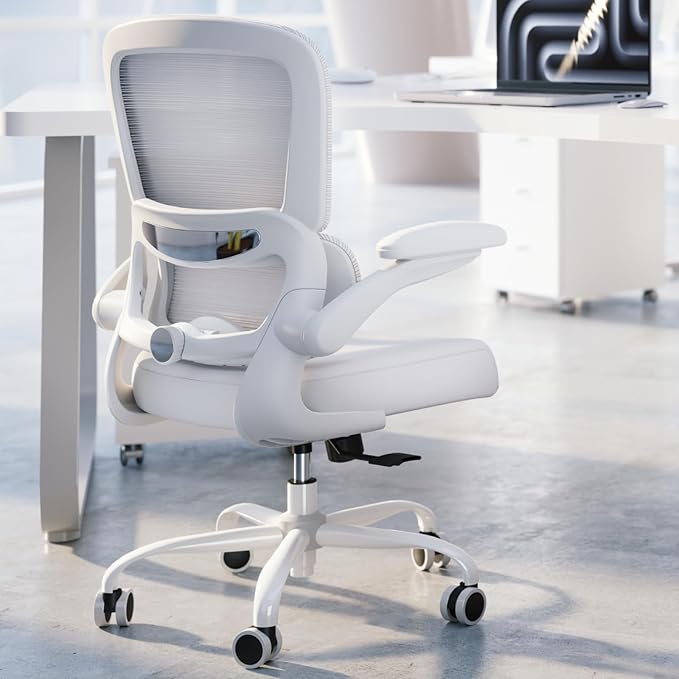 TRALT Office Chair - Ergonomic Desk Chair with Adjustable Lumbar Support, Mesh Computer Chair, Executive Chairs for Home Office Comfortable Lumbar Support (Cloud White)