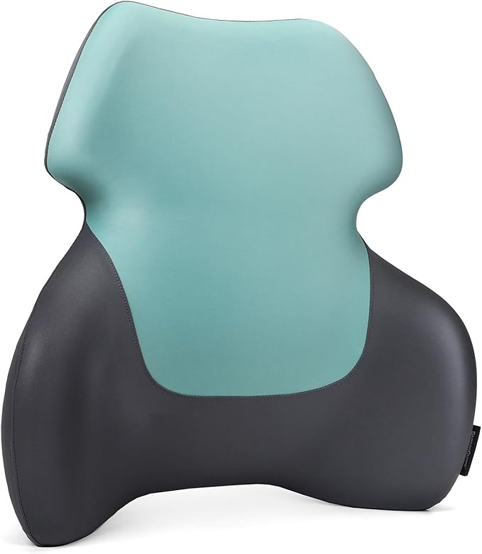 Long Back Lumbar Support Pillow - Fully Entire Back Support - Back Pain Relief and Posture Improved - Memory Foam Back Pillow Cushion for Office Chair, Gaming Chair, Recliner, Car Driving, Blue