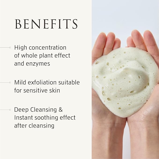 Whole Plant Daily Foam & Exfoliant (2.82 oz) – Calming & Comforting Toner (5.07 fl oz)