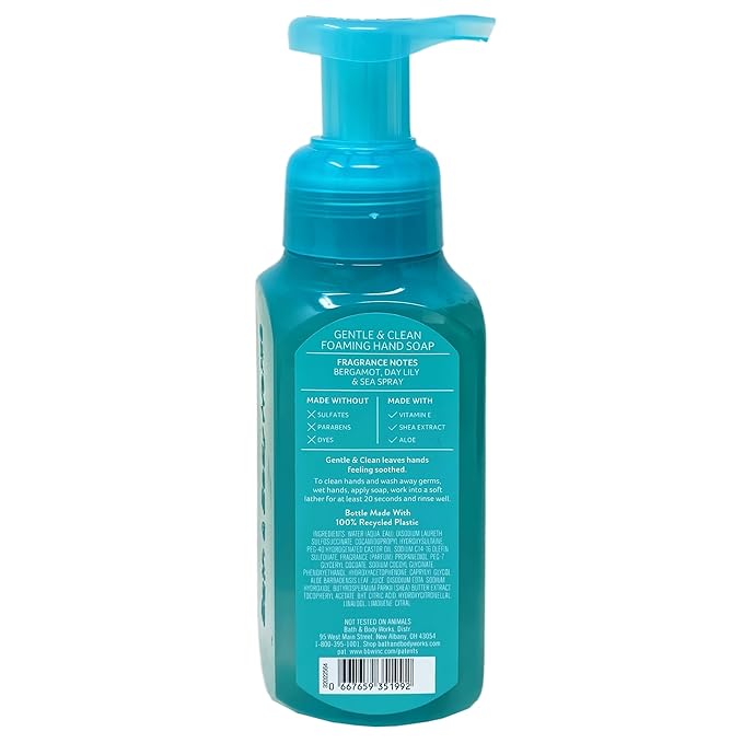 Bath & Body Works Turquoise Waters 2 Pack Gentle & Clean Foaming Hand Soap Bundle with a Natural Oats Sample Soap