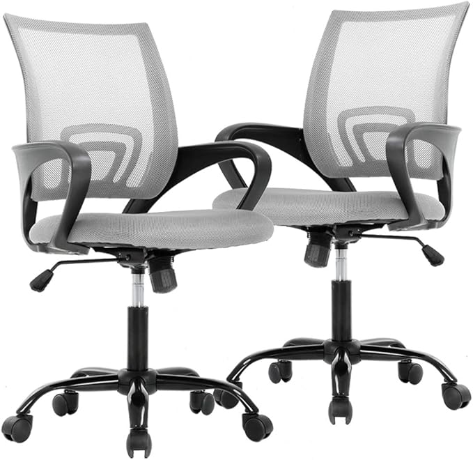 Office Chair Desk Chair Computer Chair Ergonomic Executive Swivel Rolling Task Chair for Back Support,2 Pack