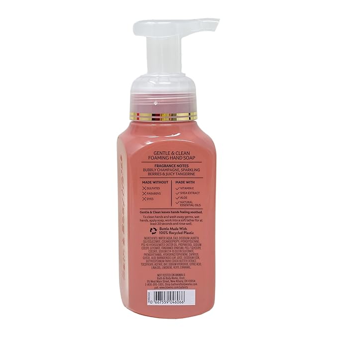 Bath & Body Works Champagne Toast 3 Pack Gentle & Clean Foaming Hand Soap Bundle with a Himalayan Salts Springs Sample Soap