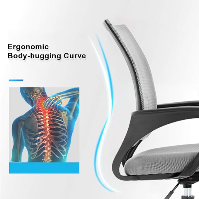 Office Chair Desk Chair Computer Chair Ergonomic Executive Swivel Rolling Task Chair for Back Support,2 Pack