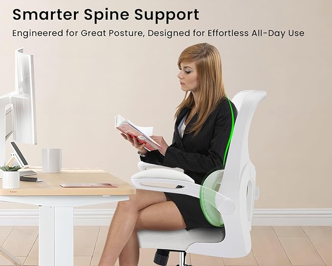 AreShark Office Chair Ergonomic Desk Chairs with Adjustable Lumbar Support, High Back Breathable Mesh Chair with Wheels& Flip-up Armrests,Rolling Swivel Comfy Task Computer Chair for Home Work Gaming