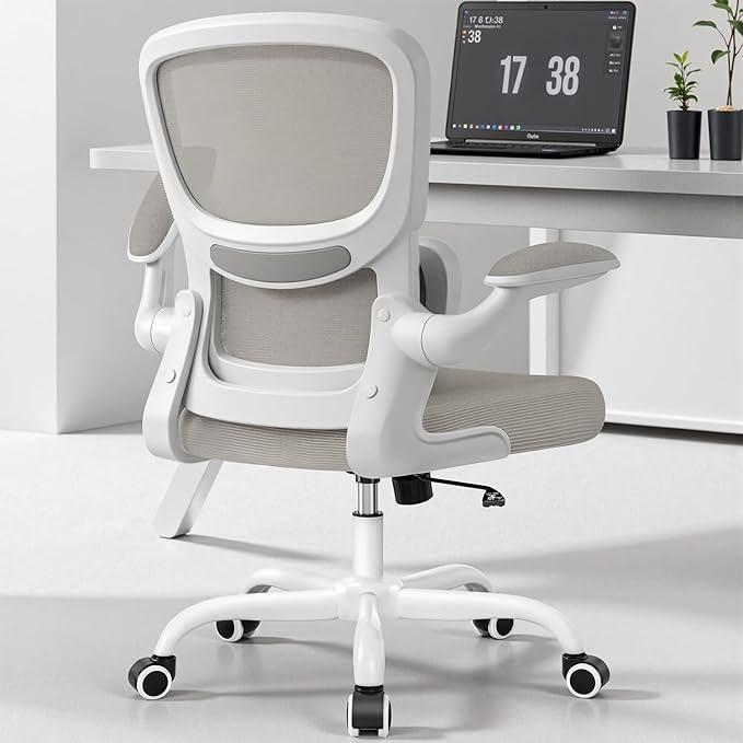 Office Chair Ergonomic Desk Chair, Breathable Mesh Comfy Chair with Lumbar Support, Computer Chair, Home Desk Chair with Flip-up Armrests, Gaming Chair for Adults Home Office (LightGray)