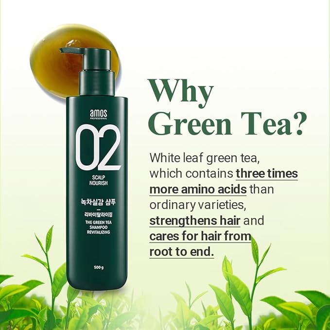 AMOS PROFESSIONAL The Green Tea Shampoo Refresh [For Oily Scalp] 17.6oz (500g) | Anti-Hair Loss Korean Hair Growth Shampoo for Cleanse Excess Sebum
