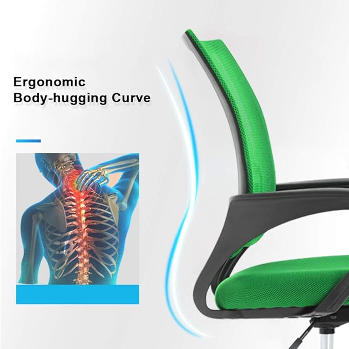 Ergonomic Office Chair Cheap Desk Chair Mesh Executive Computer Chair Lumbar Support for Women Men,2 Pack Green