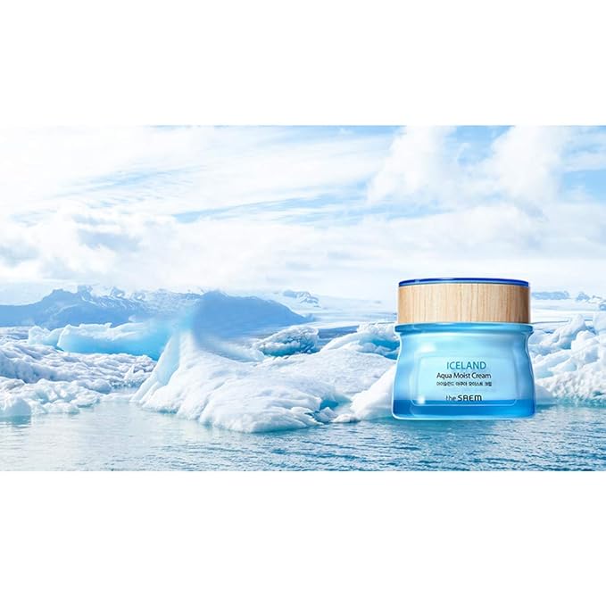 THESAEM Iceland Aqua Moist Cream - Intensive Hydrating Face Moisturizer with Icelandic Mineral Water, Kelp & Marine Active Ingredients - Deep Moisture Barrier Cream for Dry Sensitive Skin, 2.02 oz.