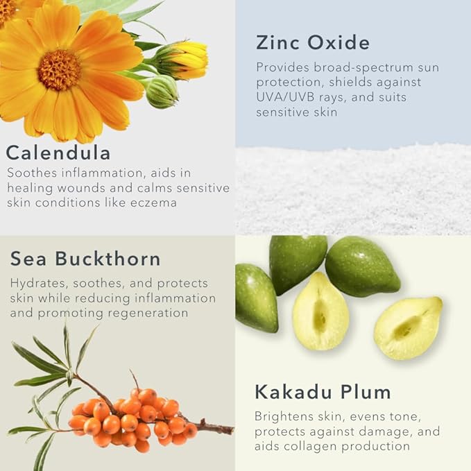 Baie Botanique Soleil - Organic Mineral Non Toxic Sunscreen for Face and Body SPF 50 - Sea Buckthorn & Calendula - Natural - Vegan - No White Cast - Chemical Filter Free - Reef Safe -UVA/UVB - 3.9 oz