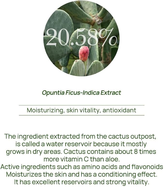 Bueno+ Cactus Peeling Pore Toner