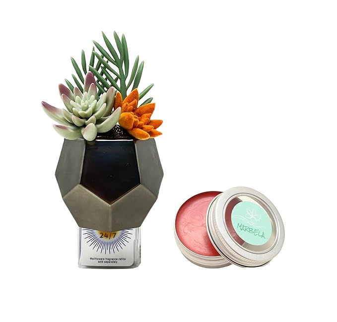 Bath & Body Works Plug Geo Succulent Nightlight Wallflowers Fragrance Plug and a Strawberry Lip Balm.