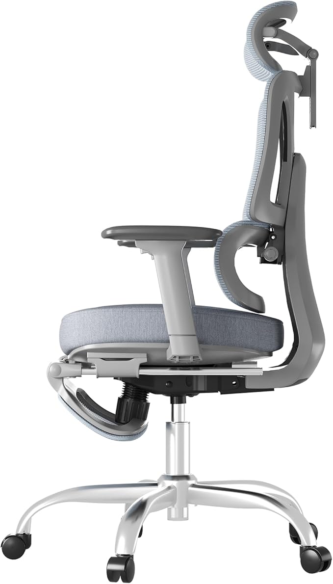 FLEXISPOT ErgoX Premium Ergonomic Office Chair with Footrest- Adjustable 3D Armrests, Dynamic Lumbar Support, Recline & Tilt Function, Mesh Seat, for Home & Office Use,Blue Foam