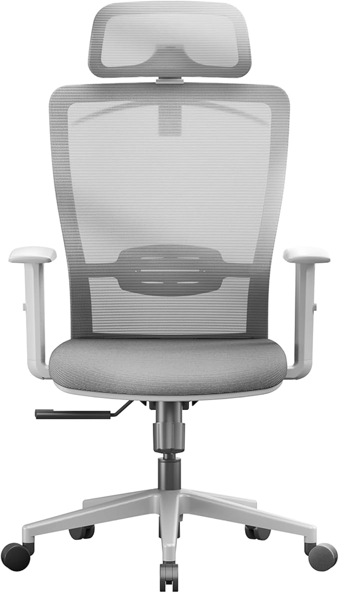 FLEXISPOT OC3 Cloud Ergonomic Office Chair, Mesh Back Computer Chair, Home Office Desk Chairs with Adjustable Lumbar Support/3D Headrest/Reliable Base, Elastic Foam Seat, Light Gray