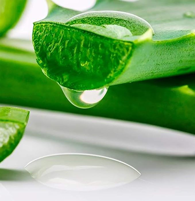 Sun Laboratories by Giesee Aloe Vera Ice Gel - Pure Organic Aloe Vera Gel, After Sun Lotion with Aloe for Sunburn Relief, Natural Aloe Vera Gel for Sunburn Recovery, Soothing Aloe Vera