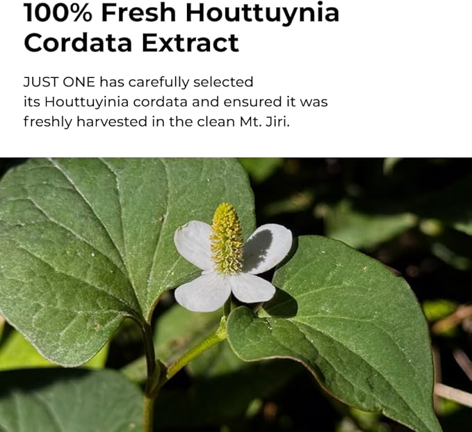 BOM Cosmetics Just One Houttuynia Cordata Extract 5.07 Fl. Oz, Facial Toner with 100% Herbal Extract, Hydrating & Soothing Toner for Face & Scalp, Vegan, Korean Skincare