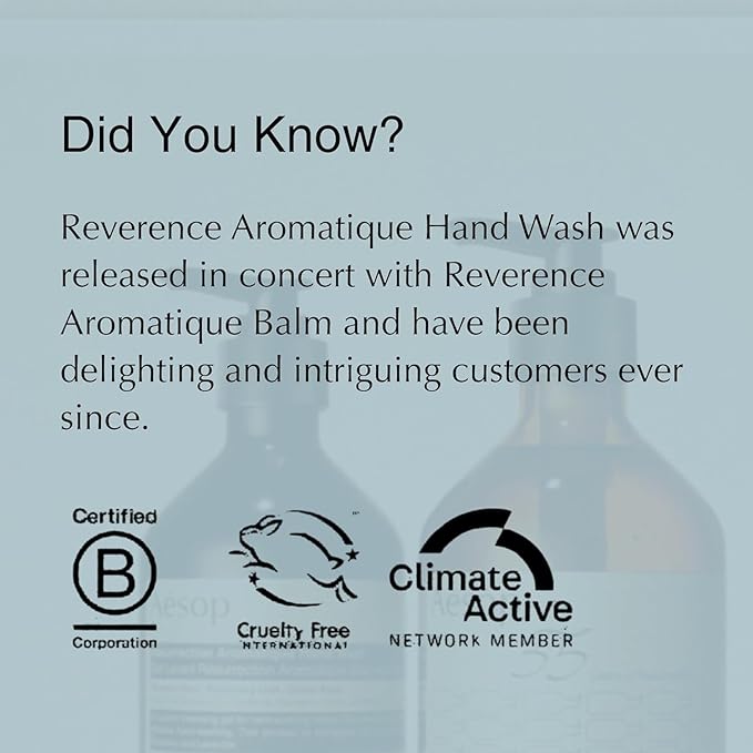 Aesop Reverence Aromatique Hand Wash Refill | Cleanse and Exfoliate the Hands | With Botanical Extracts And Finely Milled Pumice | 16.9 oz